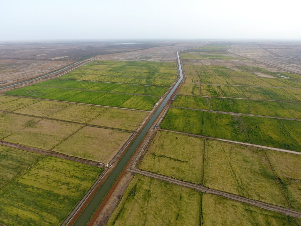 MAPME Initiative in Senegal: Rice Yield Modelling